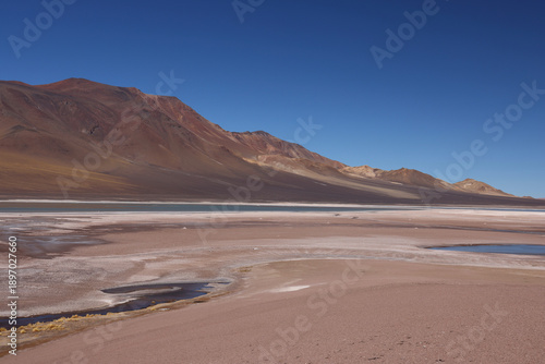 Wallpaper Mural The Salar De Aguas Calientes, Chile Torontodigital.ca