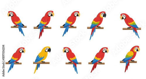 Collection of colorful macaws perched on branches.
