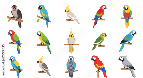 Collection of colorful parrots and cockatoos perched on branches.