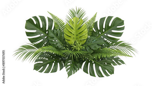 Lush tropical leaves arrangement on white background isolated on transparent background