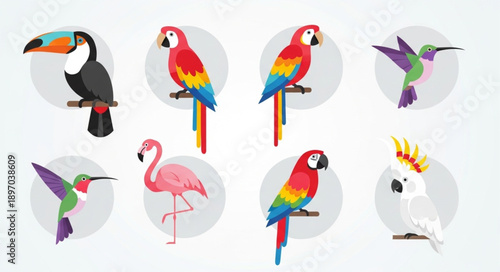 Collection of colorful tropical birds in a flat design style.