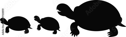 Turtle silhouettes set, different sizes of tortoise animals, black shadow reptiles, wildlife and nature collection, aquatic and land species, vector illustration isolated