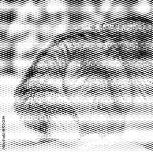 halftone texture cat paw animal fur print pet soft mammal domestic feline detail wildlife background pattern