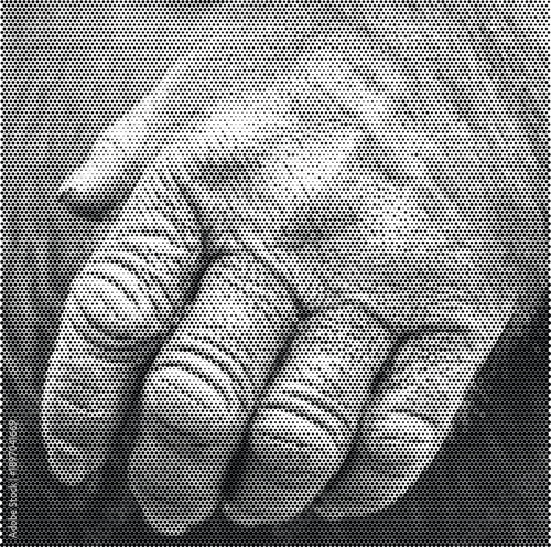 halftone texture elephant skin animal wrinkled detail wildlife nature gray leather safari background pattern texture