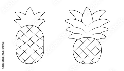 vector illustration of pineapple fruit
