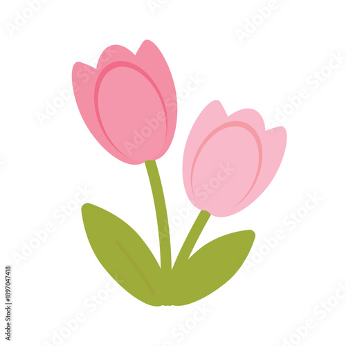 An illustration of a delicate tulip flower with a green stem and leaves, done in a simple flat style on a white background.