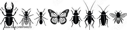 Insect silhouettes collection isolated on white background, butterfly beetle ant fly cockroach set, entomology and biology illustration, minimalist black wildlife design concept vector art