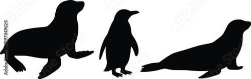 Sea lion and penguin silhouettes isolated on white background, marine wildlife illustration set, ocean animals in different poses, minimalist black nature design