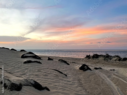 Sunset in Jericoacoara, white sand close to the sea, dark dry vegetation, colorful sky, mixture ble and orange 