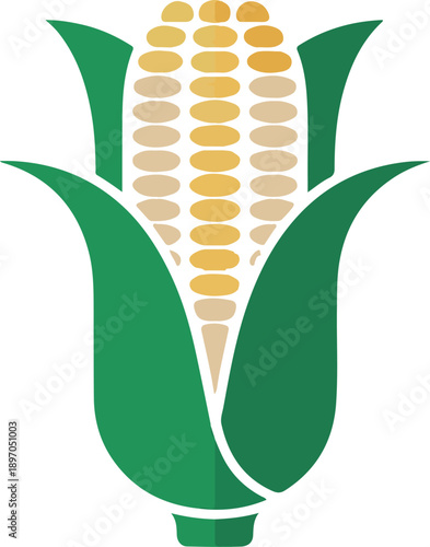 Agriculture & Harvest Maize Symbol