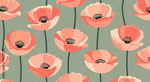 Delicate Pattern of Coral Poppy Flowers on a Sage Green Background