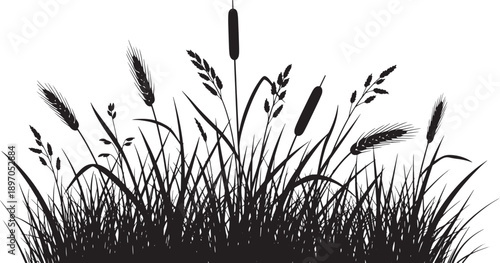 Detailed vector silhouette of diverse wild grasses and tall reeds. A lush meadow clump with various plant stalks, ideal for natural, ecological, and outdoor graphic designs