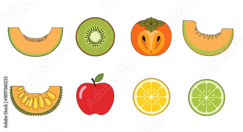 Assorted colorful fruit slices illustration