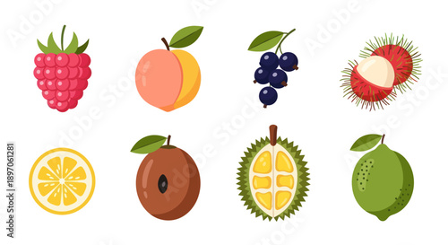 Assorted colorful fruits illustration