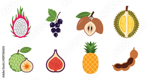 Assorted tropical fruit collection illustration