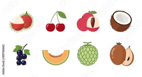 Assorted tropical fruit collection illustration