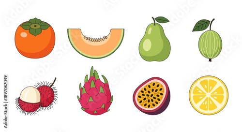 Assortment of colorful tropical fruit illustrations