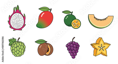 Assortment of colorful tropical fruit illustrations