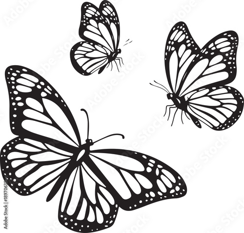 Set of three Monarch butterflies in black and white silhouette line art drawing