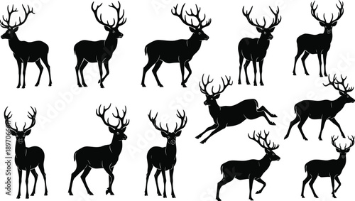 Black vector silhouette set of male deer and stags with antlers for concepts of forest wildlife hunting nature and outdoor
