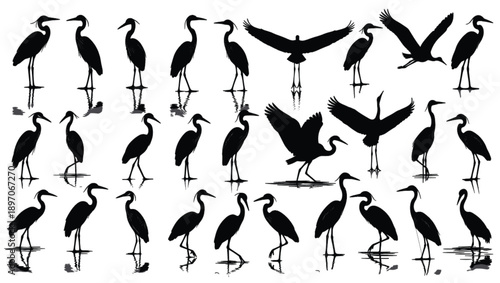 WebBlack vector silhouette set of herons and egrets for concepts of wetland wildlife coastal nature water birds and birdwatching branding