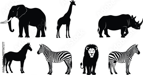 WebBlack vector silhouette set of elephant giraffe rhino horse zebra and lion for concepts of African safari wildlife nature and zoo