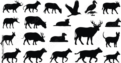 Collection of various animal silhouettes in different poses