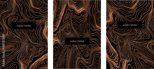 Luxury abstract wooden texture cover with natural tree rings and gold accents.