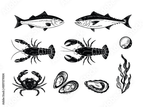 Black and White Illustrations of Seafood and Marine Life