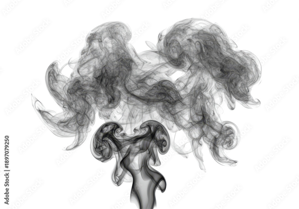 Fototapeta premium Abstract gray smoke swirls design, elegant and ethereal isolated on white background