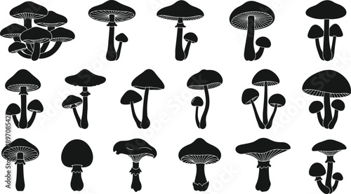 Mushroom and toadstool silhouettes set with various fungi shapes, black vector botanical illustrations for forest, nature, fairy tale, and decorative design projects