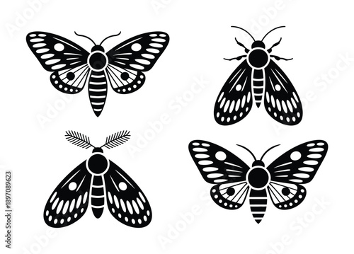 Collection of Four Stylized Black Moth Silhouettes on White Background