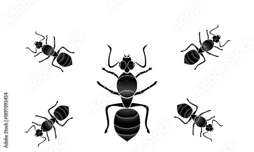black silhouette vector illustration of a group of ants