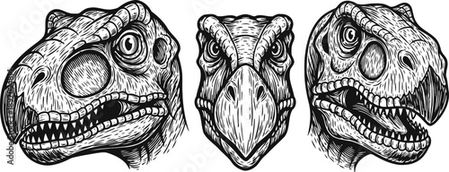detailed hand drawn dinosaur heads set aggressive predator reptiles, prehistoric creatures, sketch illustration