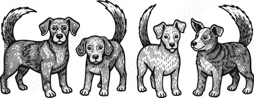 Hand drawn black and white sketch of two small dogs standing side by side with wagging tails