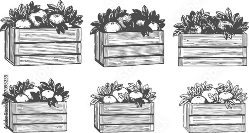 Wooden crates filled with fresh vegetables and leafy greens, rustic farmhouse garden harvest