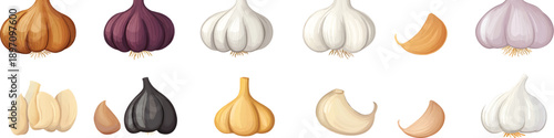 A set of garlic flat vector illustrations with a white background