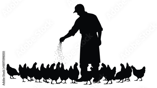 a man in a hat scattering feed to chickens a striking silhouette