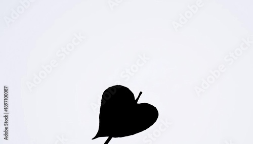 Dark silhouette of a single leaf against a light background, image, background