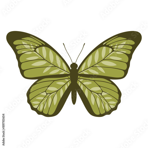 Beautiful stylized green butterfly with leaf pattern isolated on white background vector art