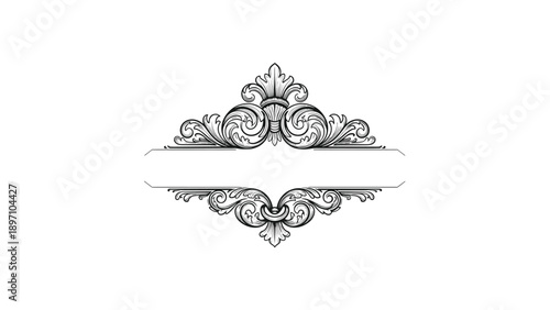 Ornate vintage-style decorative frame with elegant scrolls and floral elements perfect for a title or formal label.