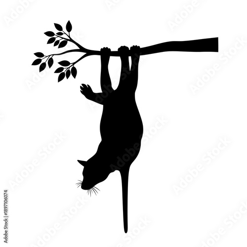 Silhouette of a playful cat hanging upside down from a tree branch.