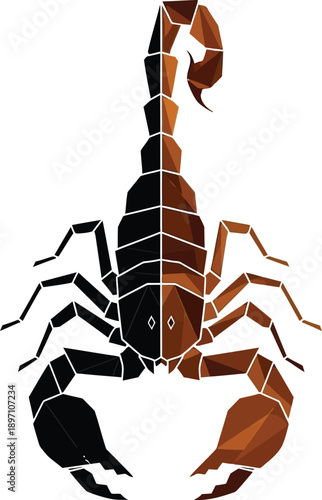 A brown and black scorpion on a white background
