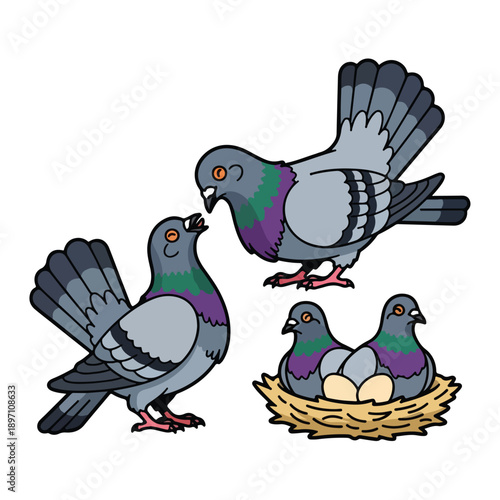 Pigeons with Nest and Eggs Illustration.