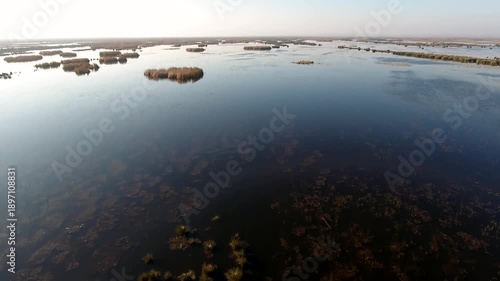 Aerial view of freshwater wetland lakes and reed beds along the Louisiana coastal plain. Calm inland waters near the Gulf Coast reveal pristine marsh ecosystems and natural delta landscapes.