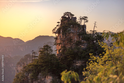 Zhangjiajie national forest park. A mountain with a tree on top and a sunset in the background