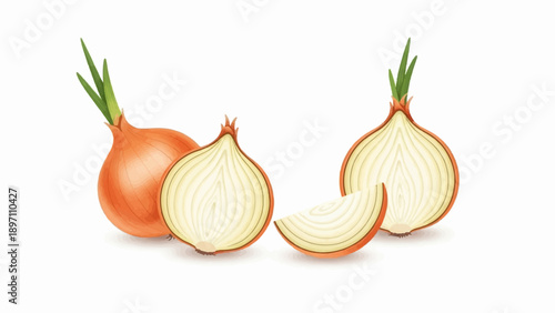 Group of onions, one whole, two halves, and one slice