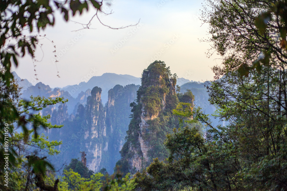 Naklejka premium Zhangjiajie national forest park. A mountain range with a forest in the background