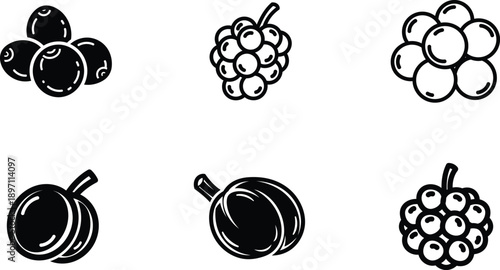 A set of six different types of berries and fruit illustrations