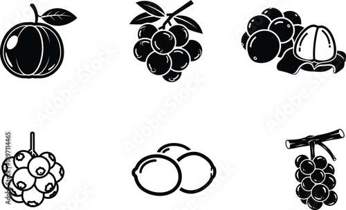 Black and white illustrations of various fruits on white background